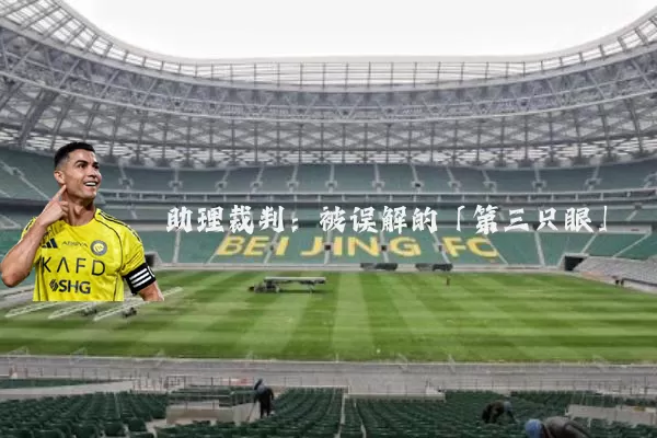 助理裁判:被误解的「第三只眼」